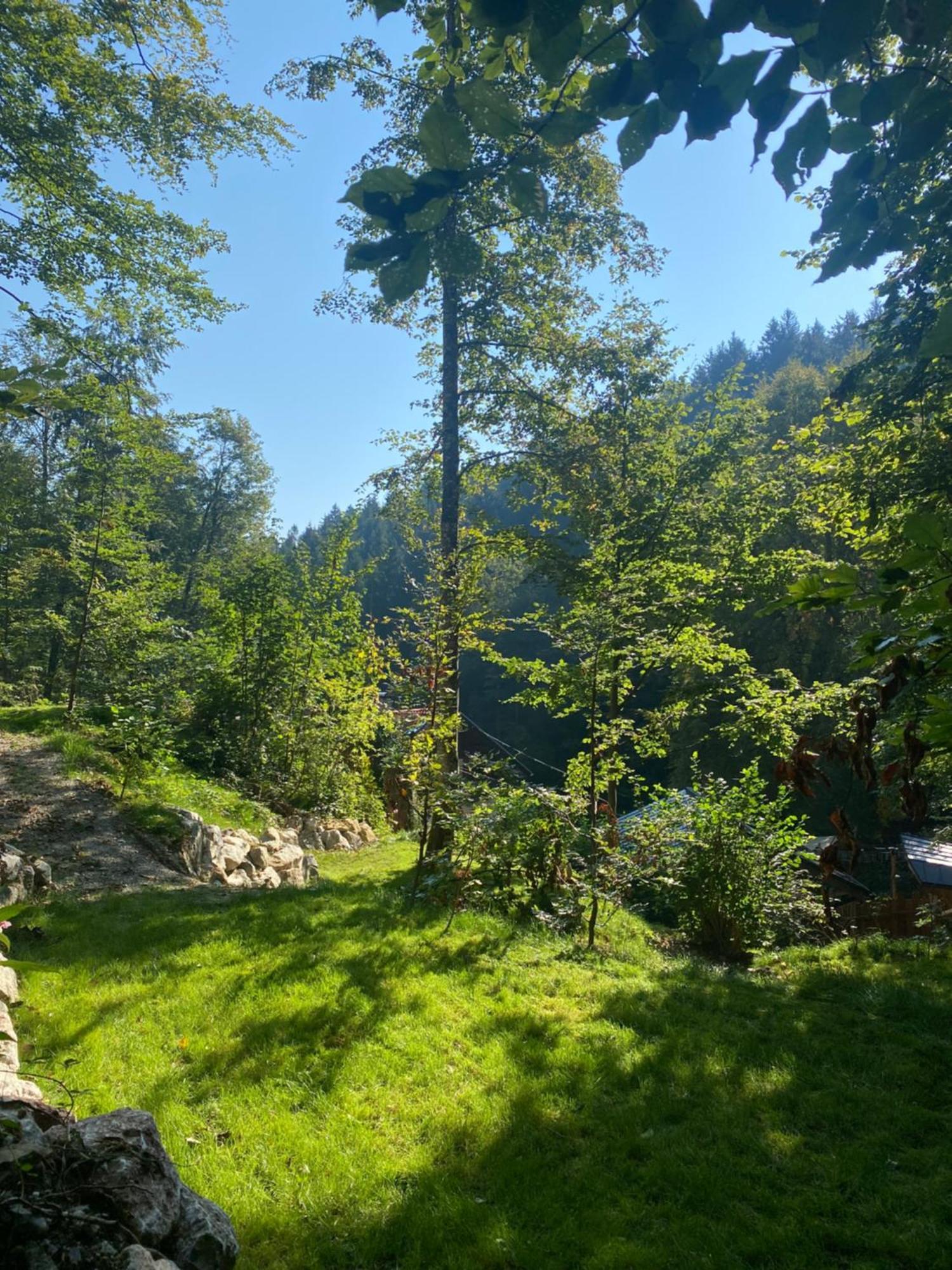 Bed and Breakfast Waldschlucht Bad Kohlgrub Esterno foto